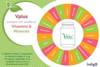 Vplus nutritional supplement vitamin and mineral wheel infographic showing key nutrients such as Vitamins A, B1, B2, B6, B12, C, E, Zinc, Selenium and more